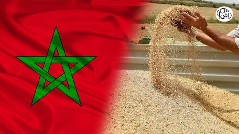 أسوأ موسم حبوب فى المغرب بسبب الجفاف