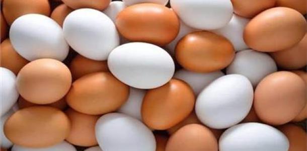 استقرار سعر طبق البيض اليوم الخميس 28 - 3 - 2024