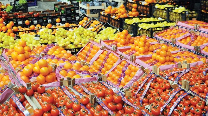 الزراعة: 1.5 مليار دولار صادرات مصر الزراعية خلال 3 أشهر