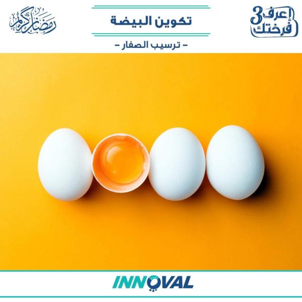 «اينوفال» توضح تكوينات البيضة ضمن سلسلة «اعرف فرختك»