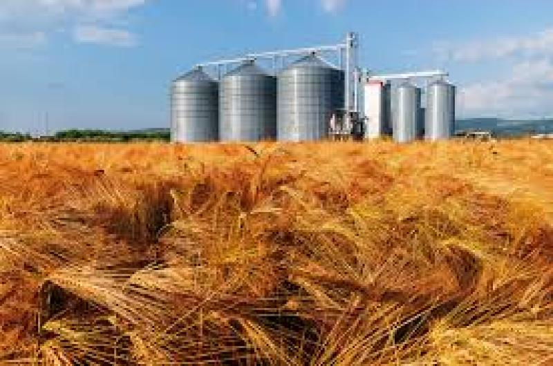 خطوات تخزين محصول القمح في الصوامع