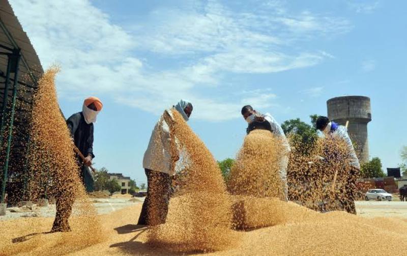 واردات المغرب من الحبوب 