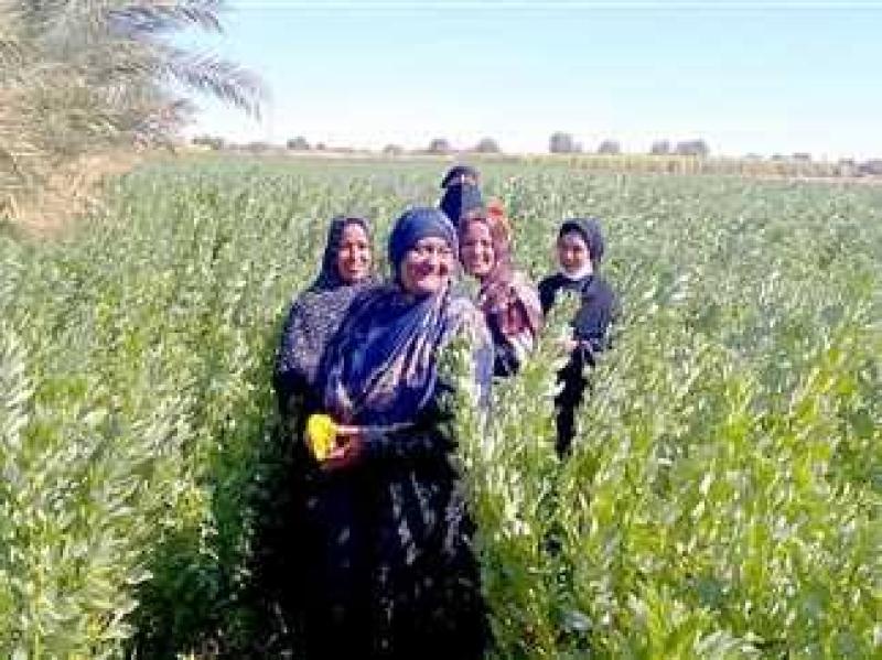 نجاح تجربة المدارس الحقلية في جنوب سيناء