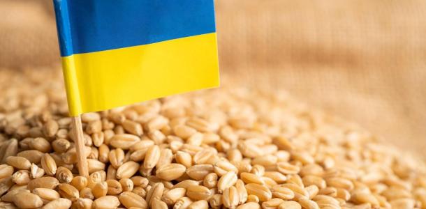 «السلع التموينية» تشتري أطنان من القمح الأوكراني.. تفاصيل