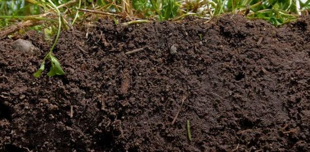 قواعد تجهيز الأراضي الطينية الثقيلة للزراعة