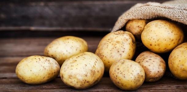 «الزراعة»: توصيات لتخفيف تأثير موجة الحرارة على البطاطس ومحاصيل خضرية التكاثر