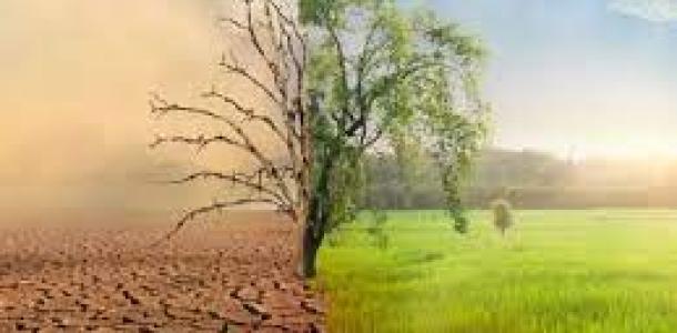 مناخ الزراعة: توصيات عاجلة بشأن طقس الساعات القادمة