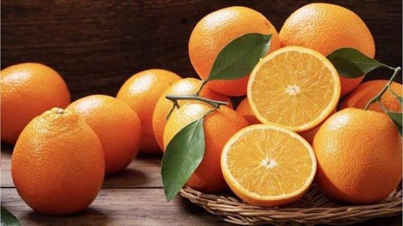 ارتفاع صادرات مصر من البرتقال واليوسفي إلى آسيا الوسطى