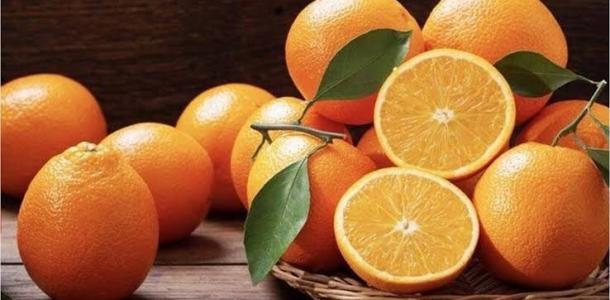 ارتفاع صادرات مصر من البرتقال واليوسفي إلى آسيا الوسطى