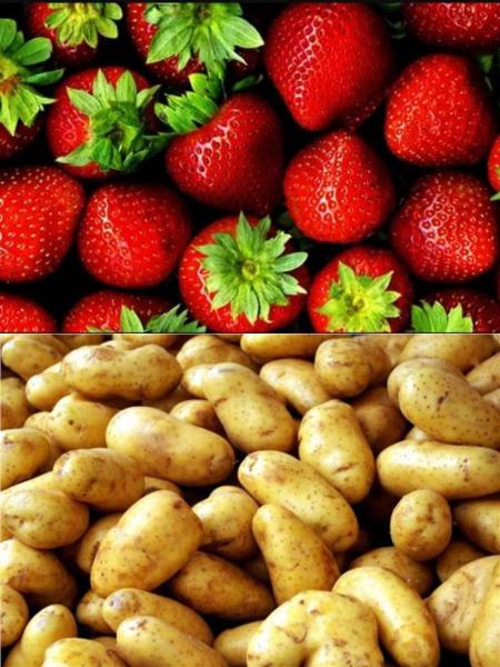 مصر تفتح أسواقا جديدة لتصدير البطاطس والفراولة