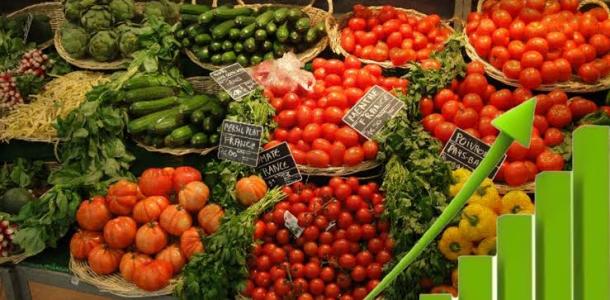 ألمانيا تستحوذ على الخضراوات المغربية.. أبرزها الطماطم والفلفل والخيار