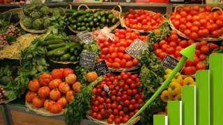 ألمانيا تستحوذ على الخضراوات المغربية.. أبرزها الطماطم والفلفل والخيار