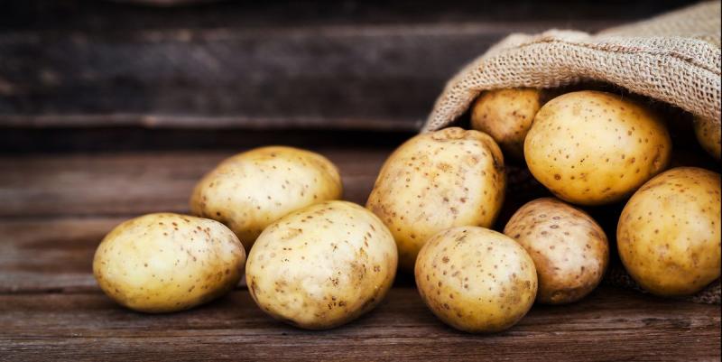 المناخ المضطرب يهدد زراعة البطاطس في أوروبا
