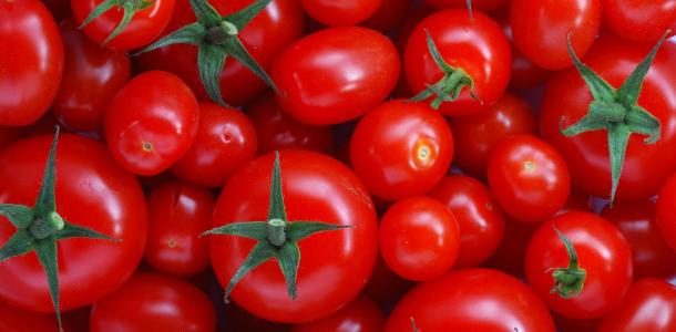 ارتفاع قياسي لصادرات المغرب من الطماطم ضمن أكبر الموردين عالميًا