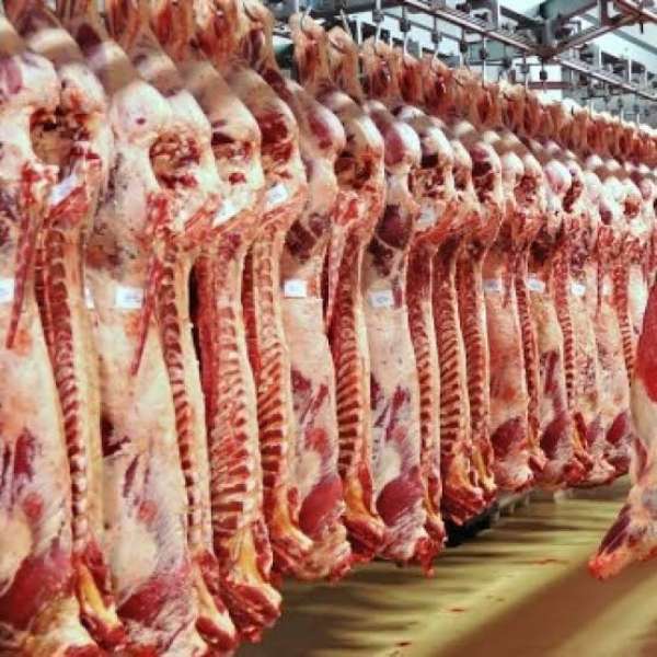 الصين في صدارة مستهلكي اللحوم البرازيلية وتليها الإمارات