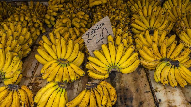تصدير الموز الأكوادوري إلى الصين