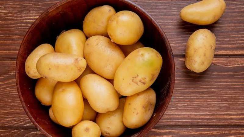 الزراعة : صادرات مصر من البطاطس تحقق رقما قياسيا خلال الموسم التصديري الحالي