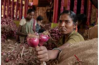 مزارعو البصل في الهند يعترضون على تسعير المحصول