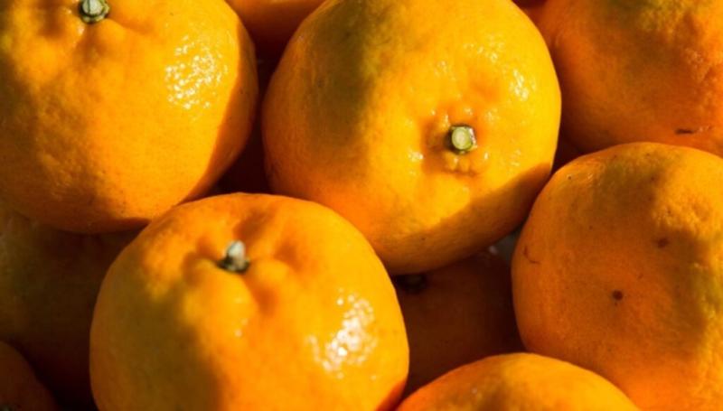 دراسة: مستخلص قشر البرتقال يحسن صحة القلب