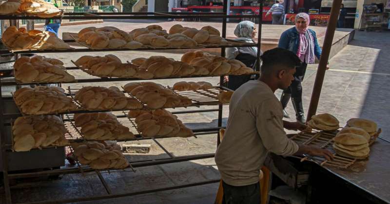 قرار مهم لوزير التموين بشأن تكلفة تصنيع رغيف الخبز المدعم
