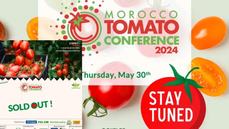 مؤتمر المغرب للطماطم 2024