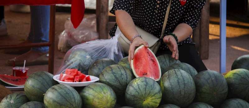 ارتفاع أسعار البطيخ في إيطاليا