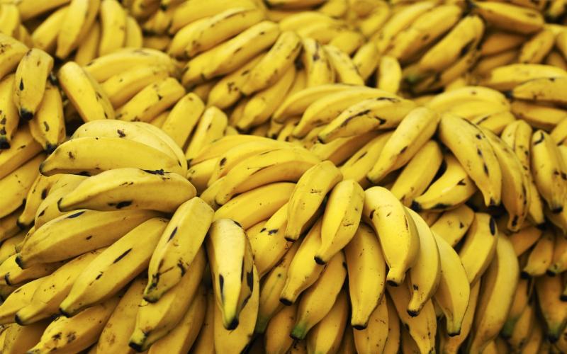 الكاميرون تصدر 68 ألف طن من الموز في الأشهر الأربعة الأولى من 2024