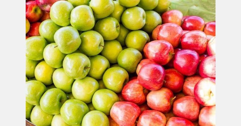 أسعار التفاح في بيلاروسيا وروسيا