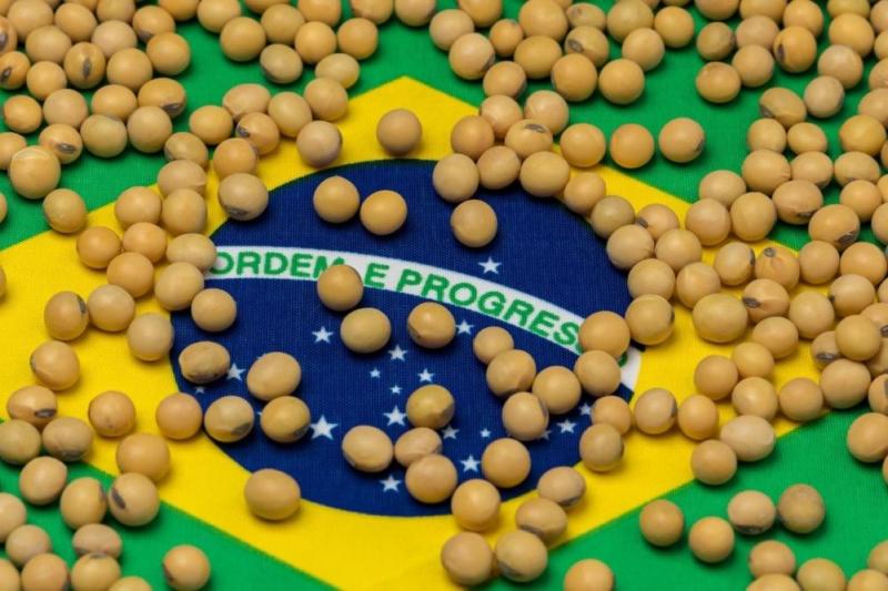 ممثلو الزراعة البرازيلية يرفضون الضرائب الجديدة