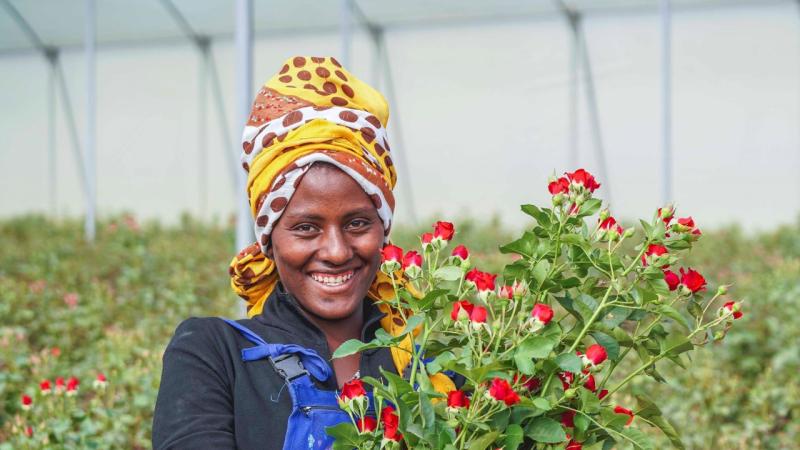 كيف جعلت إثيوبيا زراعة الزهور ثاني أهم قطاع للتجارة الخارجية ؟