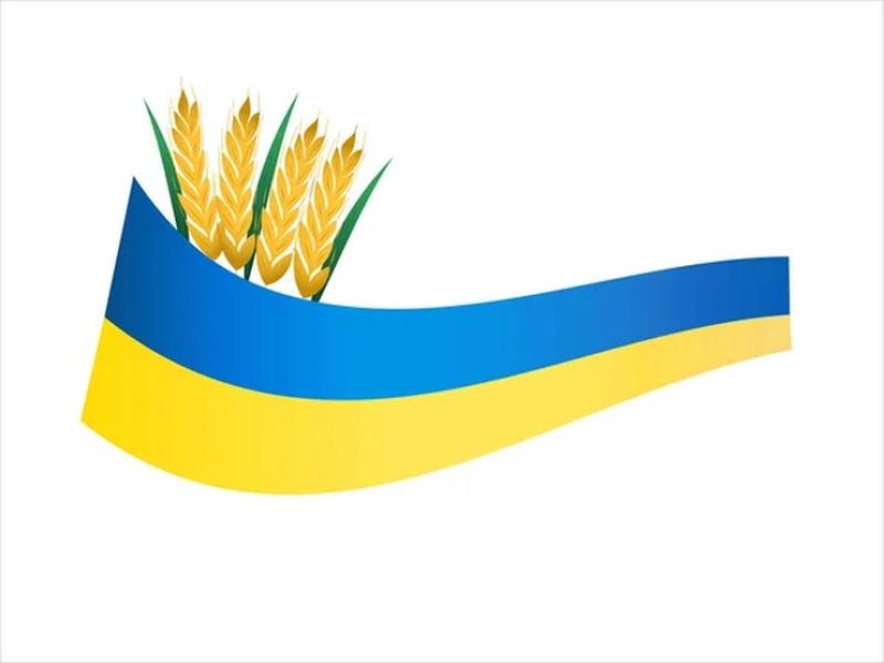 تصدير أكثر من 49.7 مليون طن من الحبوب الأوكرانية