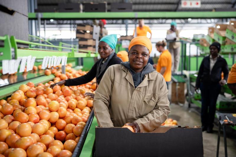 أسعار عصير البرتقال في جنوب إفريقيا 