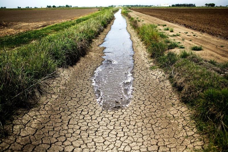 الجفاف يهدد زراعات المغرب