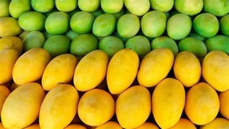 «الخضر والفاكهة»: توفير كم هائل من المانجو بأسعار في متناول الجميع