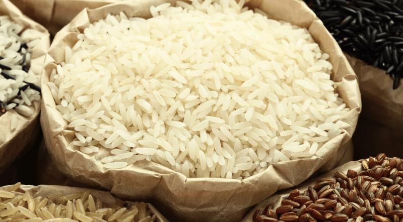 الأرز الهندي 