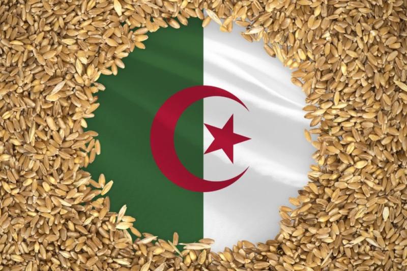 الجزائر تتجه نحو تقليل واردات القمح