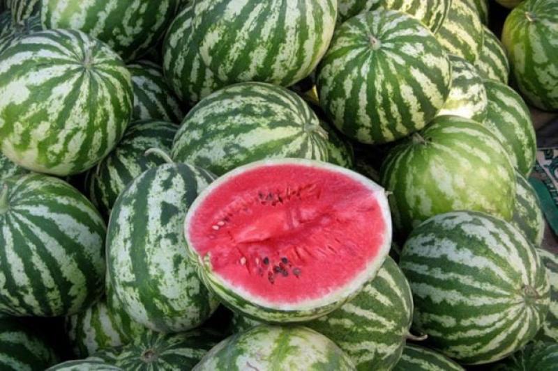 الدفعات الأولى من البطيخ تظهر في السوق الأوكرانية