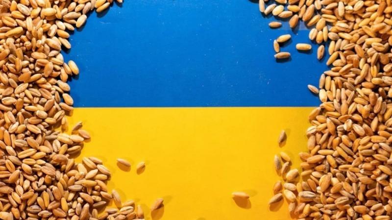 ارتفاع صادرات أوكرانيا من الحبوب في الموسم الحالي