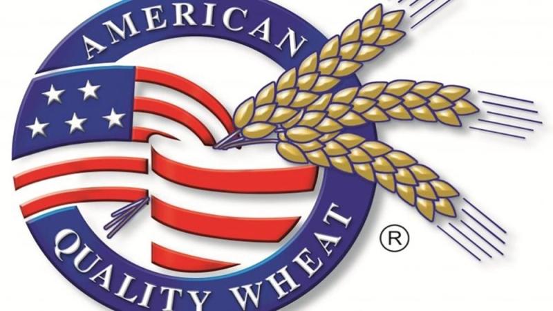 مبيعات صادرات القمح الأمريكي تفوق التوقعات