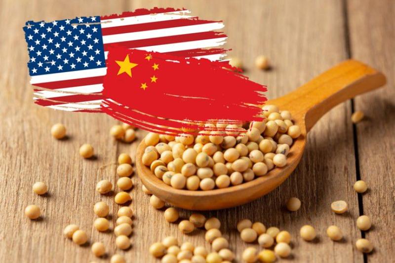 الصين تشتري أول شحنة فول صويا أمريكية لموسم 2024