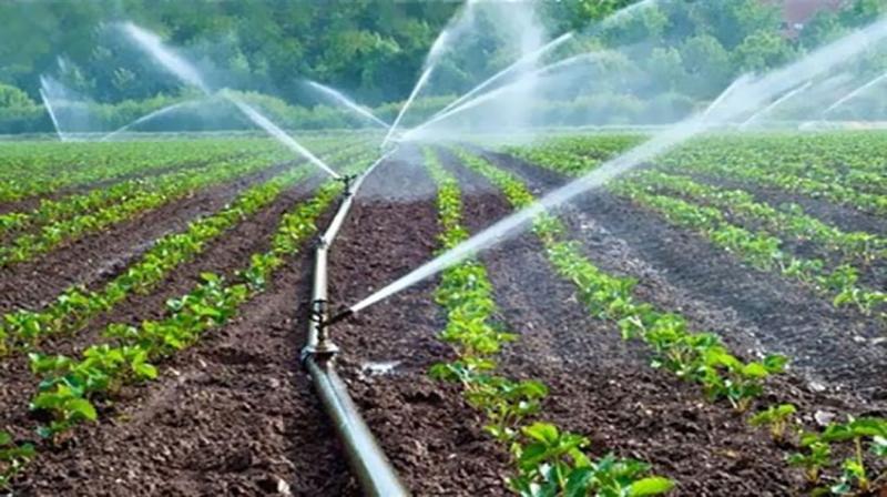 10 عوامل لتحديد إمكانية استخدام المياه في رى الأراضي الزراعية