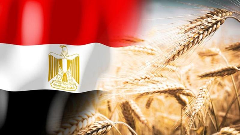 واردات مصر من القمح ترتفع 28.3% في النصف الأول من 2024