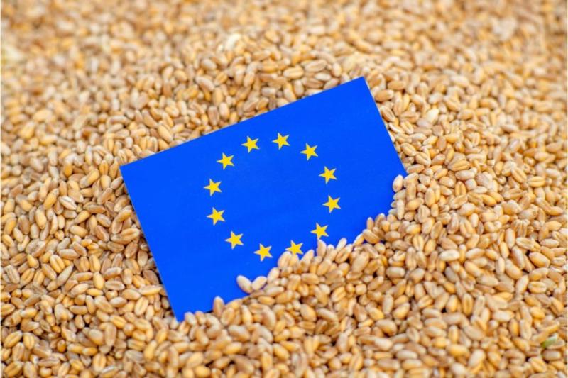 صادرات الاتحاد الأوروبي من القمح وصلت 31 مليون طن بحلول 30 يونيو