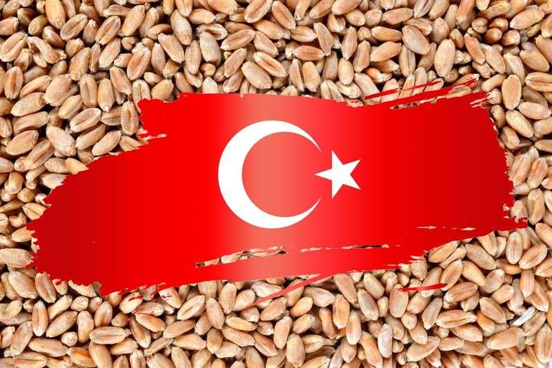 واردات تركيا من القمح تهبط لأدنى مستوى في 6 سنوات