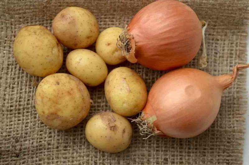 المغرب يستأنف تصدير البطاطس والبصل إلى أفريقيا