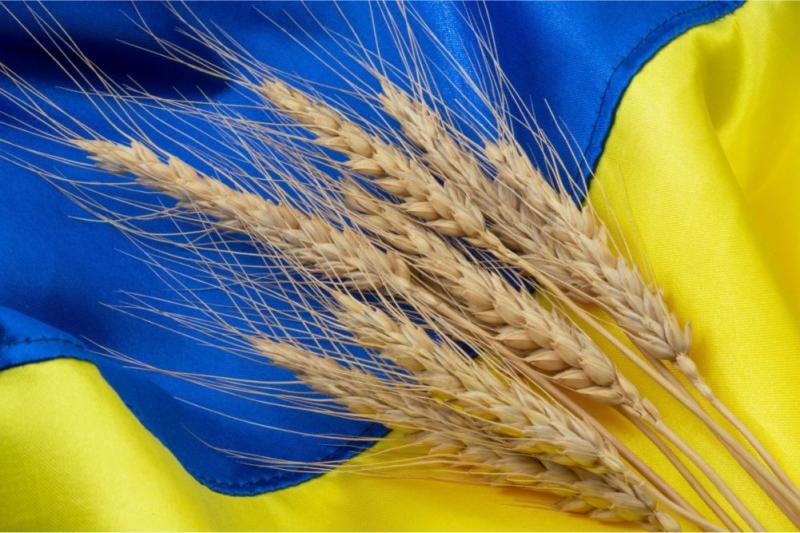 صادرات الحبوب الأوكرانية تتجاوز 2.2 مليون طن في الموسم الحالي