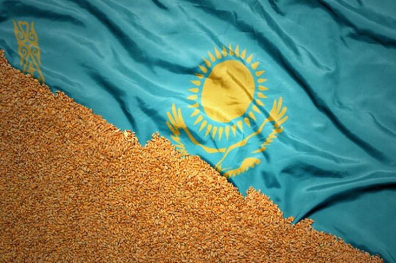 كازاخستان.. المورد الرئيسي للقمح الصلب إلى الاتحاد الأوروبي