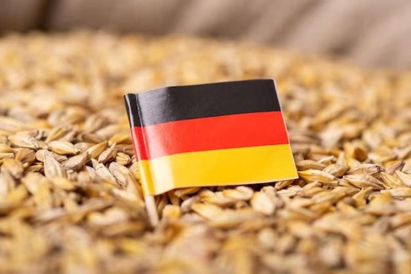 جمعية المزارعين في ألمانيا تخفض توقعات المحاصيل بشكل حاد