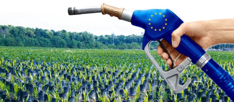 الاتحاد الأوروبي يستعد لفرض رسوم جمركية على واردات الديزل الحيوي الصينية