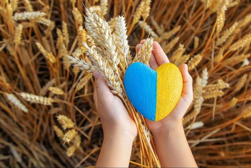 أوكرانيا توافق على استراتيجية الأمن الغذائي